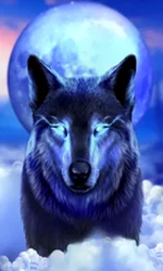 Night Wolf - Frozen Flame